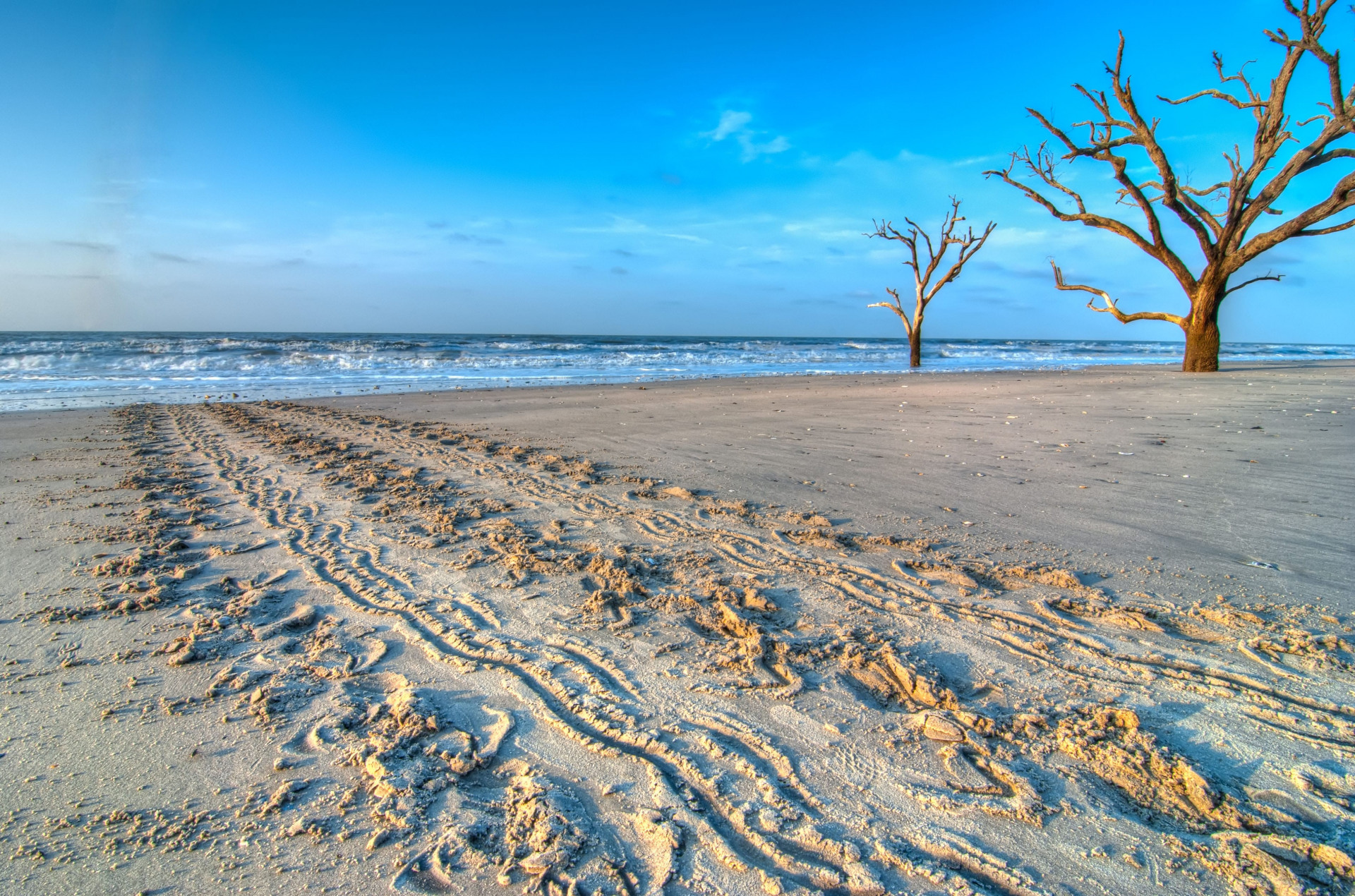 to Edisto Beach, South Carolina! Edisto Beach